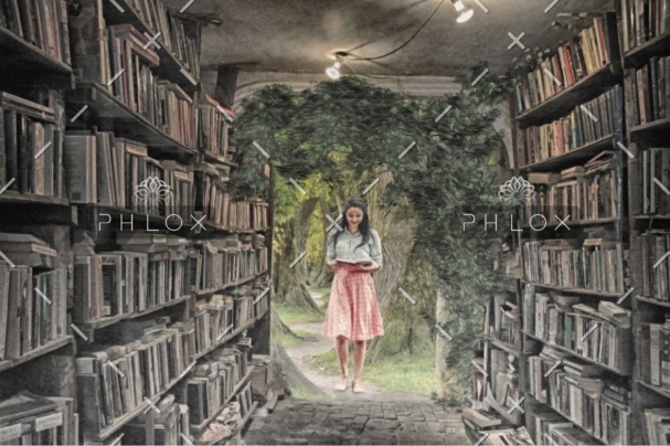 demo-attachment-204-library-3992076_1920