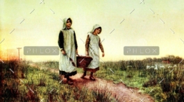 demo-attachment-213-vintage-1898383_1920